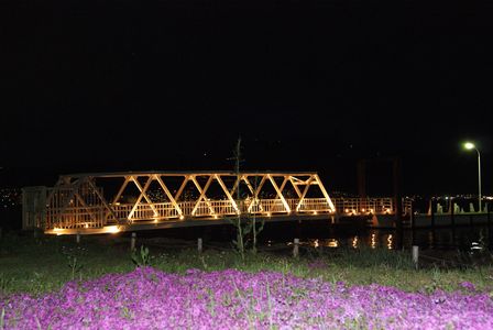 琵琶湖の桟橋
