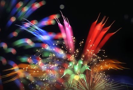 花鳥風月～花火2016