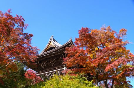 京都　善峯寺の紅葉