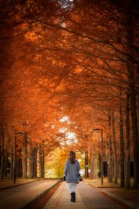 見上げてごらん