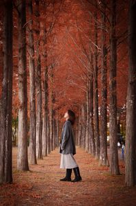 見上げてごらん