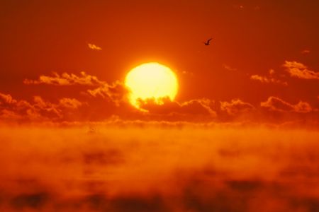 けあらしの朝。。♪