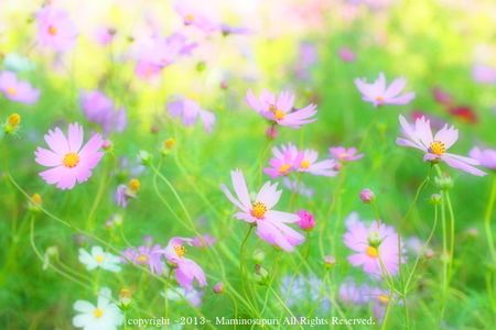 話声を聞かせて。