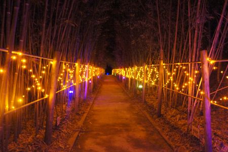 「ハーモニーランド イルミネーション2011」5