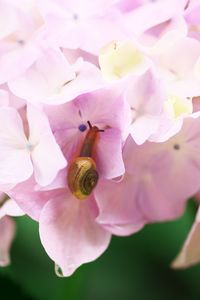 やっと会えた～