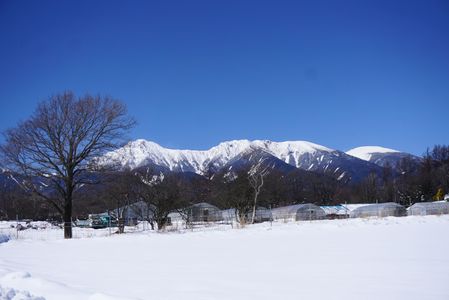 雪山の写真