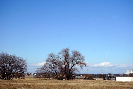 ヒマラヤ？　雲でした。