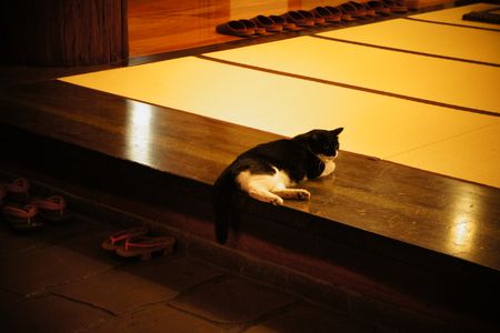 我が旅館へようこそ