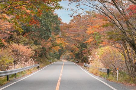 えびのスカイラインの紅葉