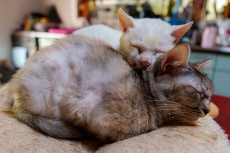 寄り添って(*^-^*)