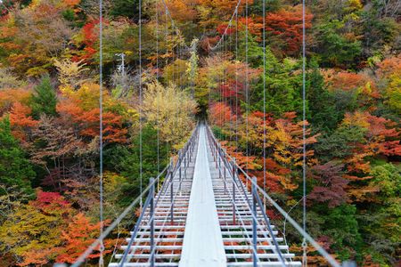 2025 畑薙大吊橋