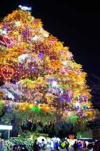 中山競馬場のクリスマスツリー