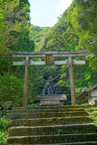 瀧神社