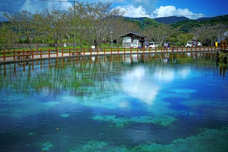 丸池湧水