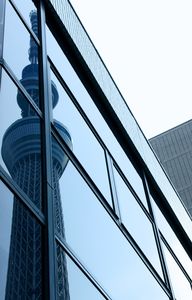 もう一つのツリー