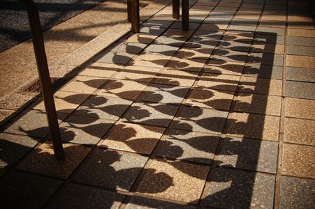 老舗の干物屋さん