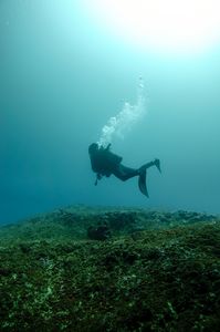 通り池～上から見るか中から見るか～