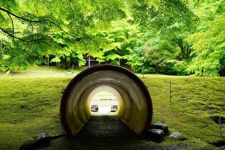 子供の頃の夏休みにタイムスリップ