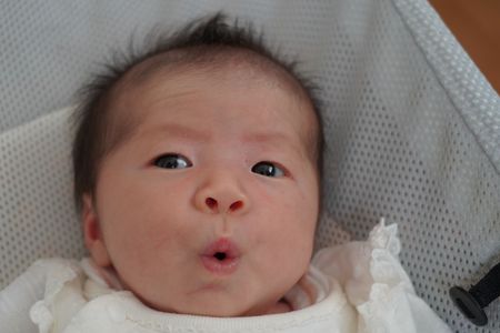 飲む　出す　寝る　zzz