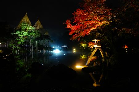 兼六園ライトアップ