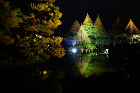 兼六園ライトアップ
