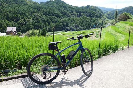 下赤坂の棚田(千早赤阪村)