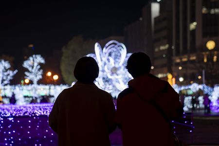 ホワイトイルミネーション