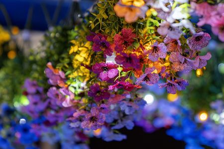 静謐を彩る和の灯