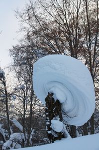 雪きのこ_2013