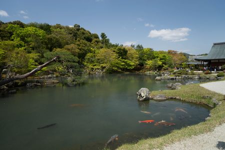 天龍寺　曹源池庭園