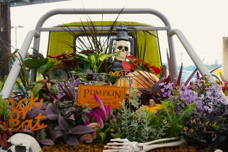 ハロウィン~♪♬