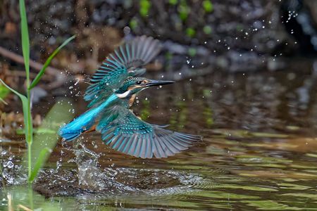 修行が足りません・・・、