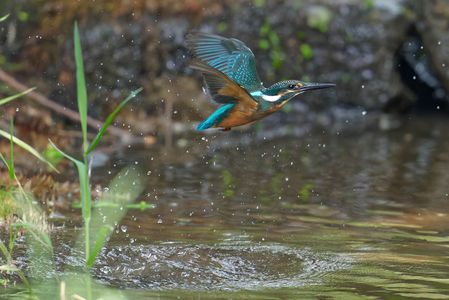 失敗、失敗・・・、