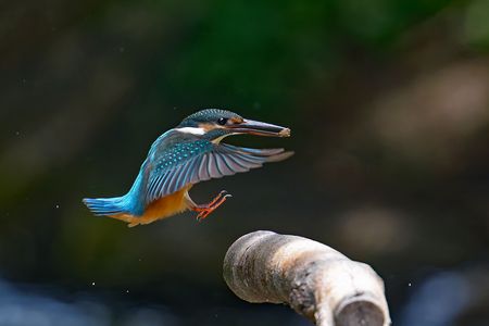 危ない、危ない・・・、