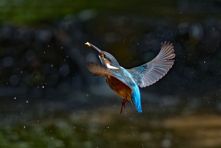 やっぱりここが落ち着くからな〜〜、