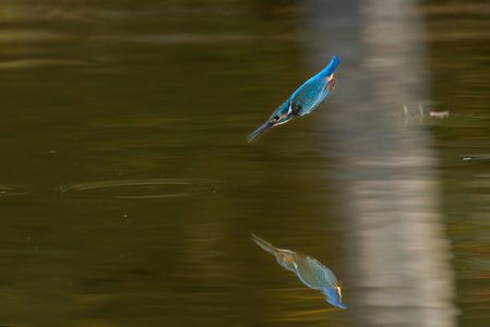 ゲットできたかな〜〜、