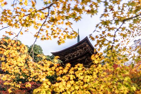 湖東三山～西明寺の紅葉～