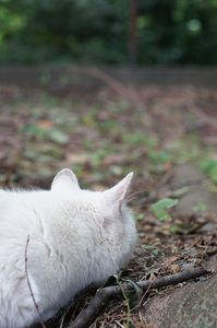 目の先に狙うもの。。