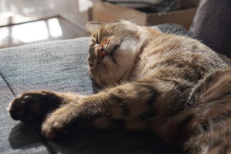 ぬくもりの午後