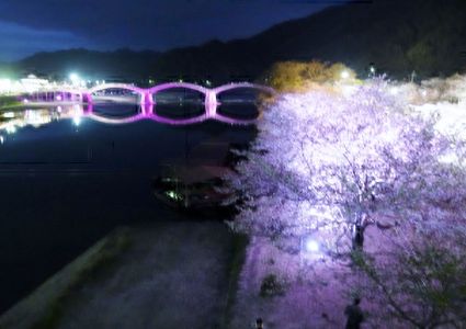 ・・サクラと遊ぶ・・錦帯橋