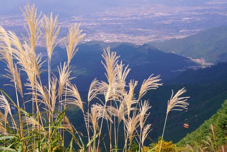 雲辺寺山頂から見晴らし