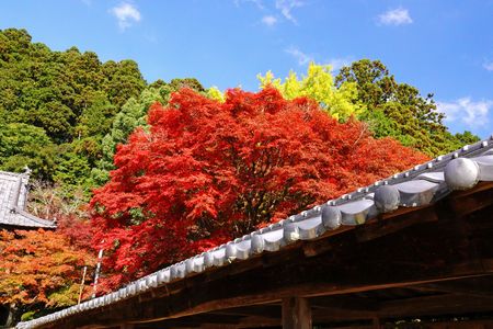 こんぴら奥の院　箸蔵山
