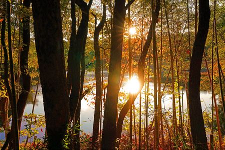 夕映えのため池