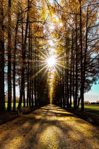 Strange Perspective Ⅲ