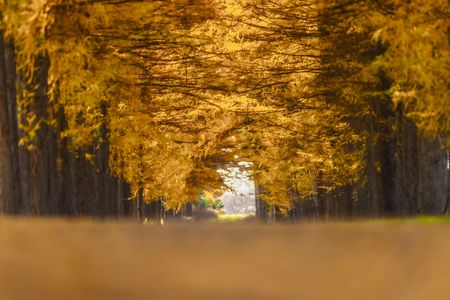 Strange Perspective Ⅳ