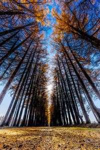 晩秋のパースペクティブ 其の弐