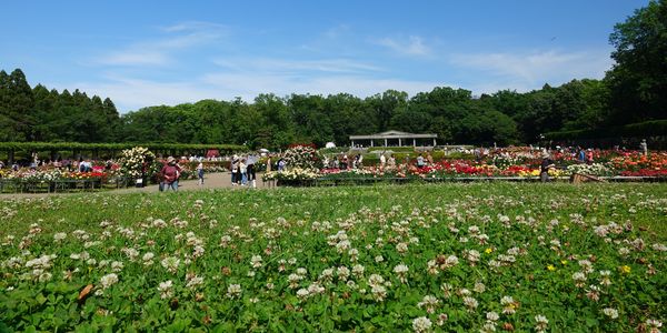 春のバラフェスタ➿神代植物公園