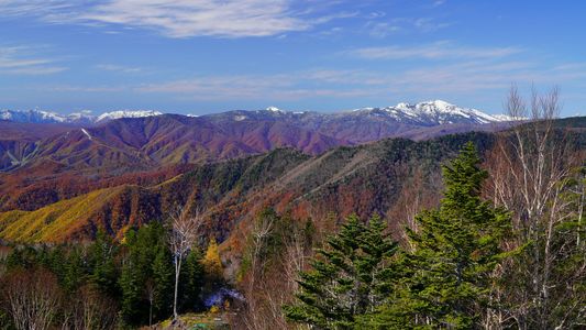 色づく山々　#群馬県#