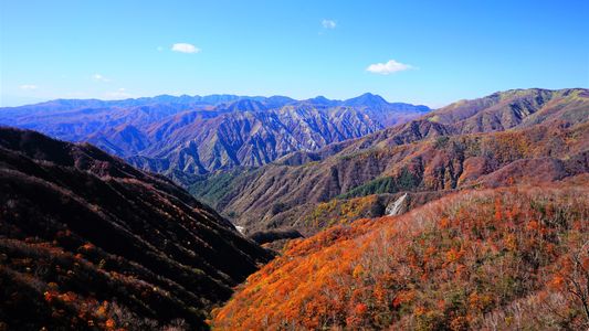 晩秋の奥日光　#栃木県#