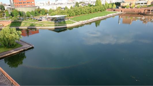 水面にかかる虹